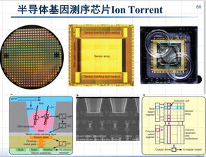 成功率和可靠性驱动的纳米尺度集成电路设计方法学